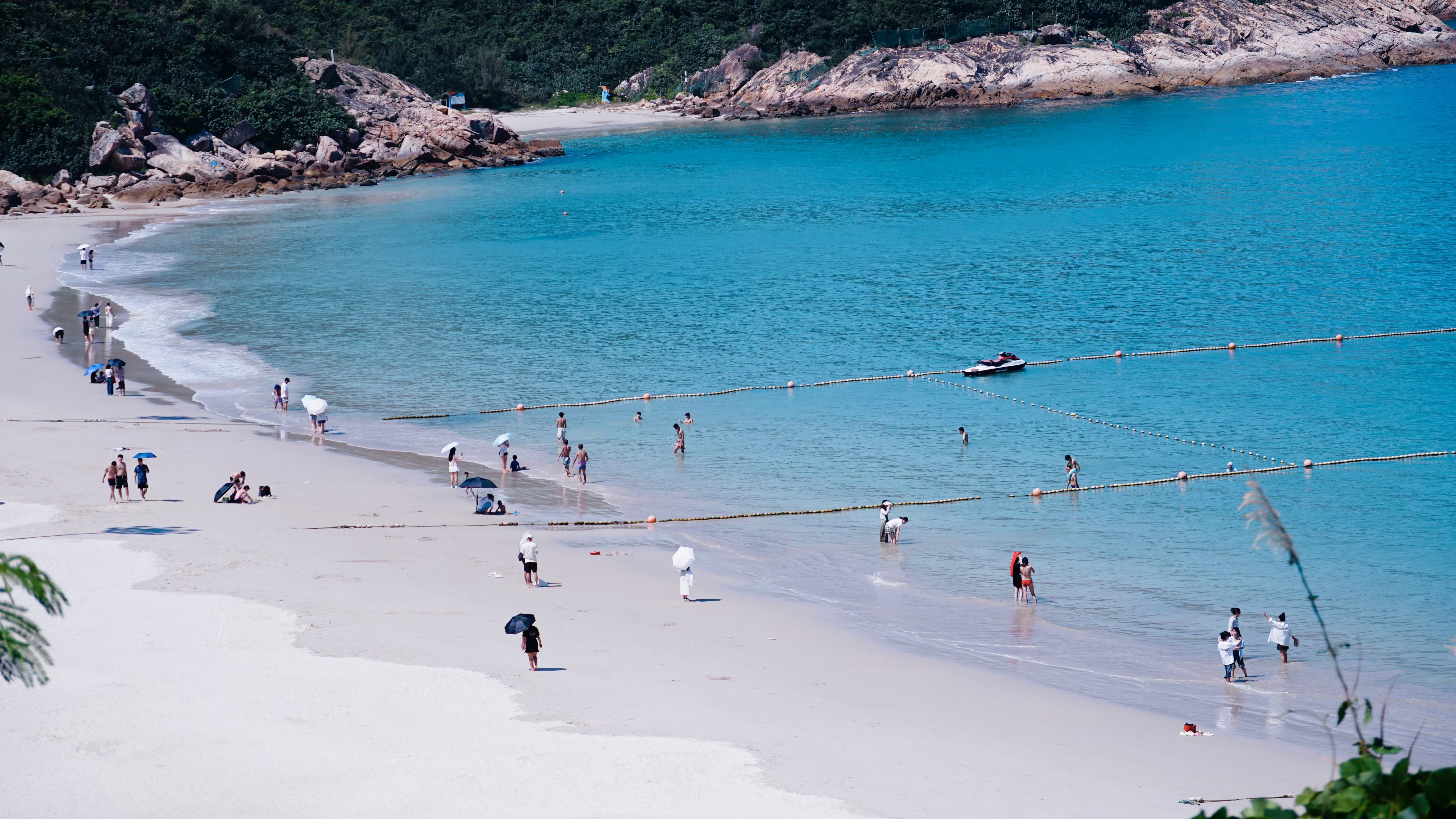 微信图片_20241108123904